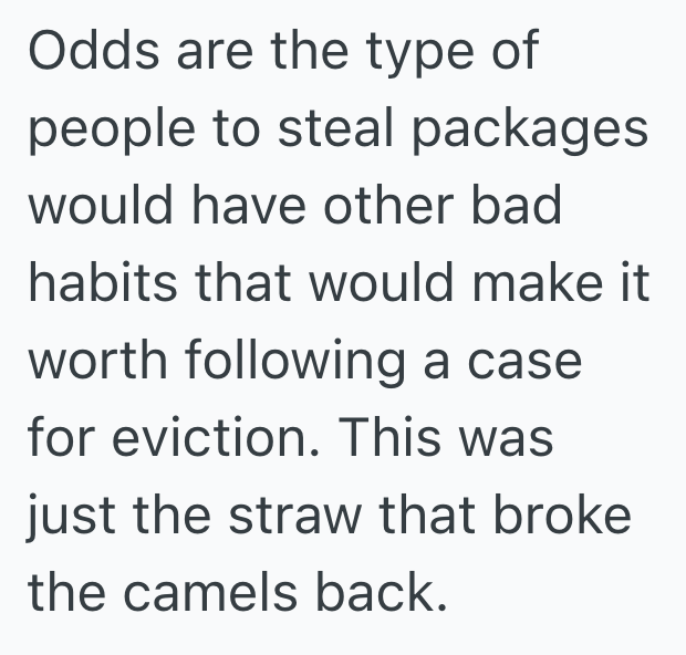Screenshot 2025 06 22 at 2.09.46 PM A Neighbor Steals A Tenants Package, So He Calls The Police And Talks To The Landlord About The Horrible Neighbors